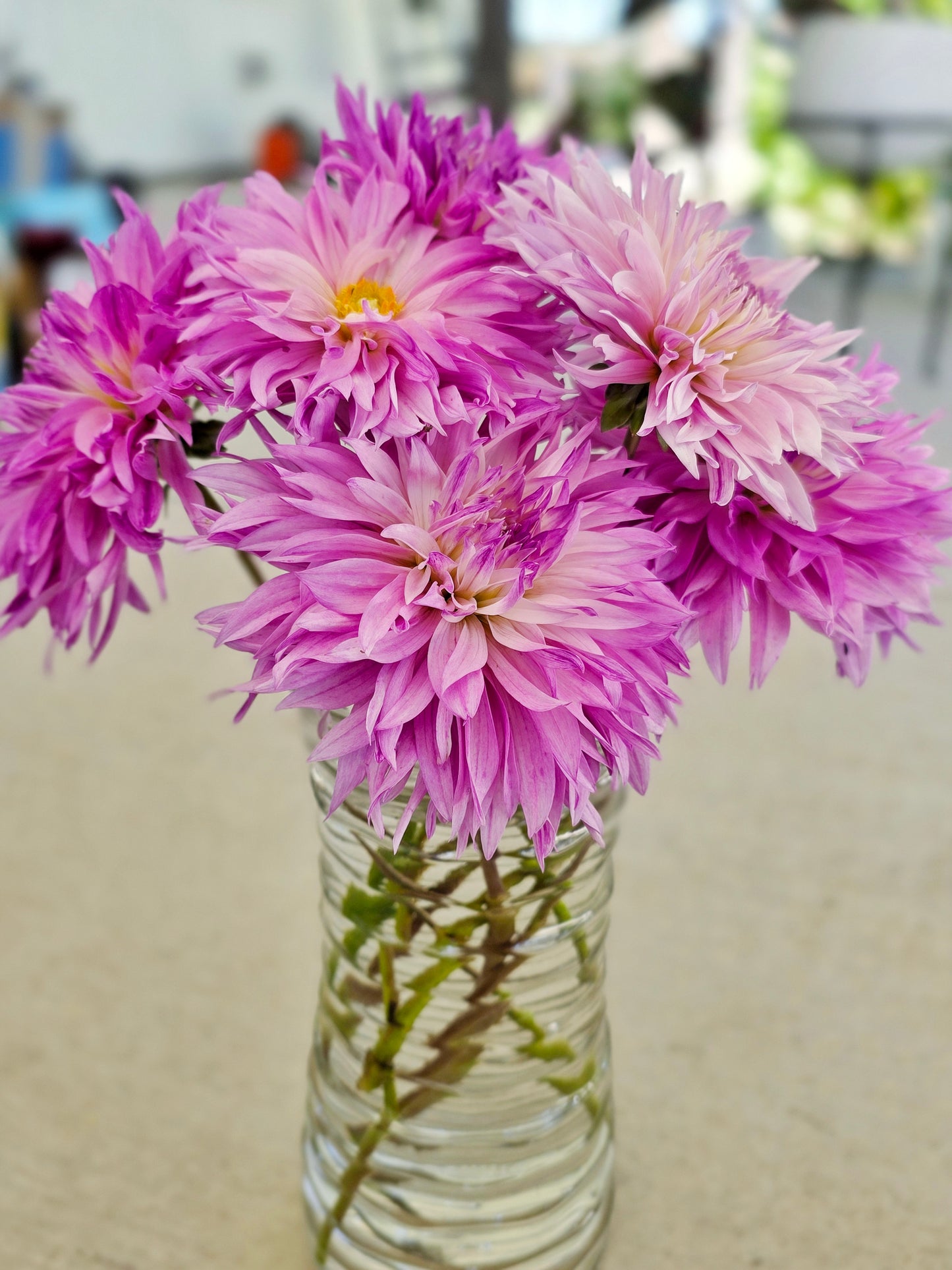 Weekly Flower Bouquet CSA